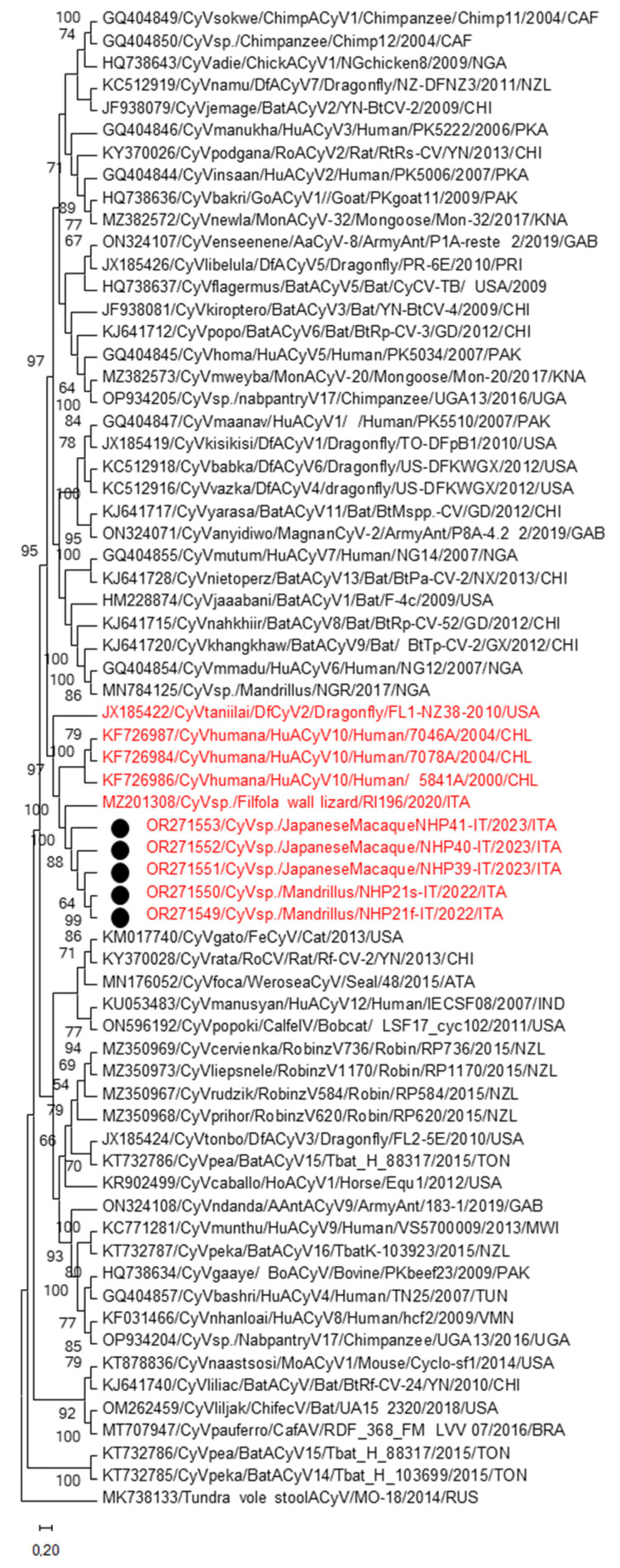 Figure 1