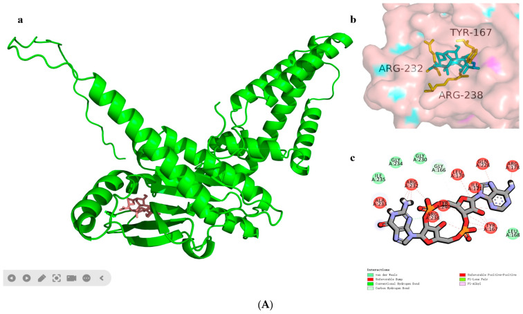 Figure 6