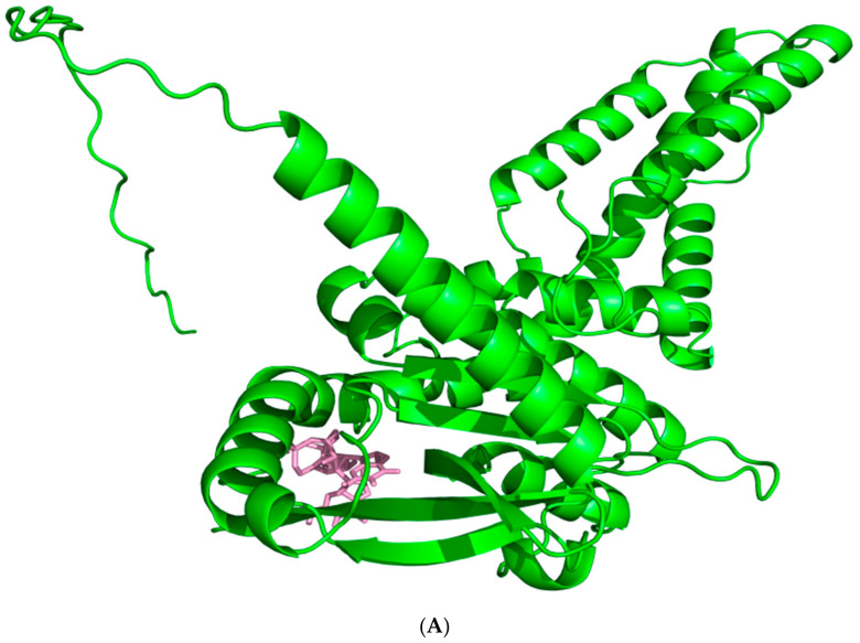 Figure 9