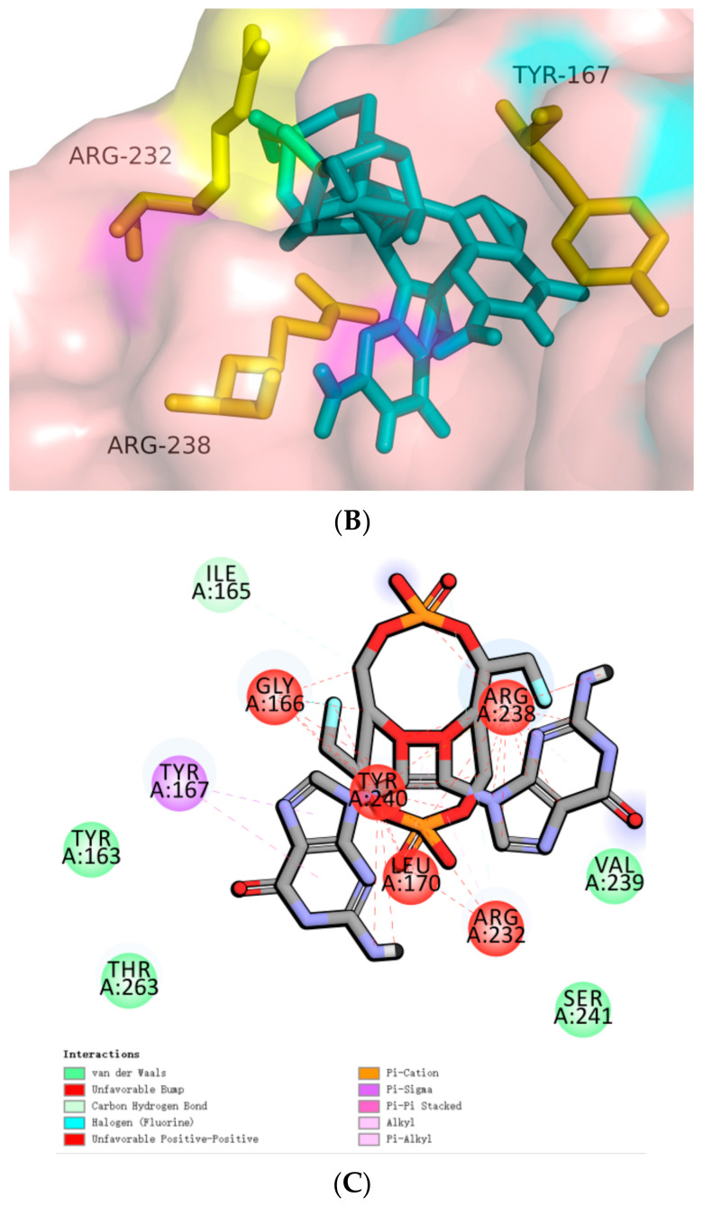 Figure 10