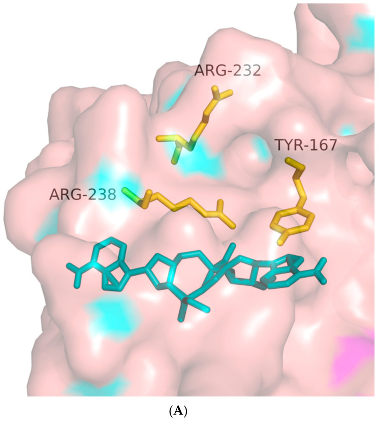 Figure 11