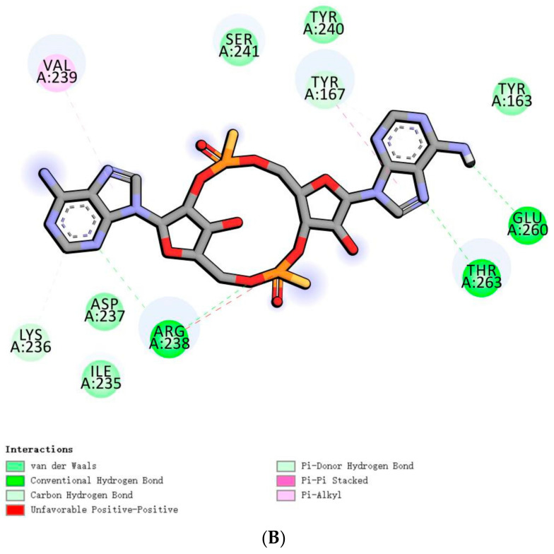 Figure 12