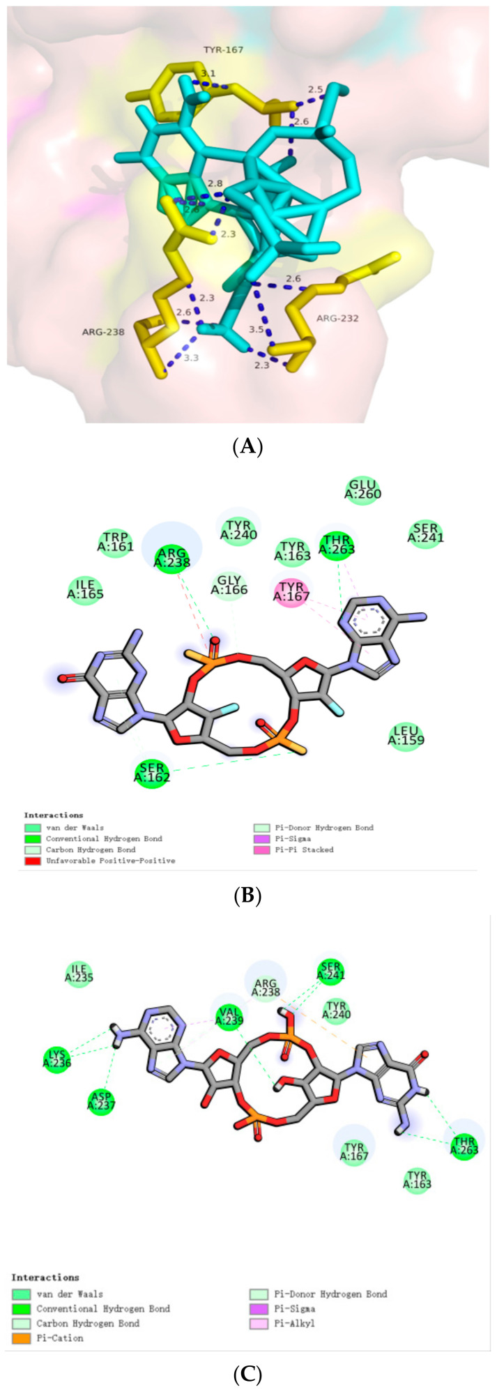 Figure 13