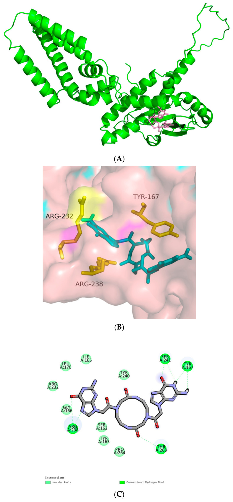 Figure 14