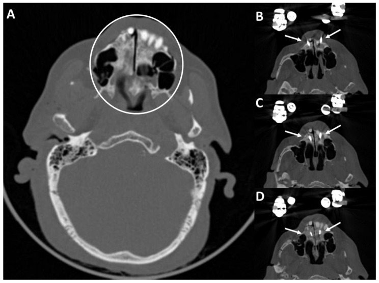 Figure 6