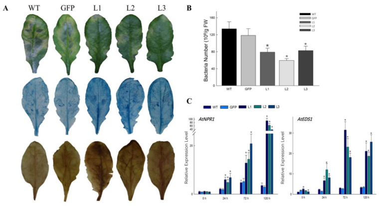 Figure 6