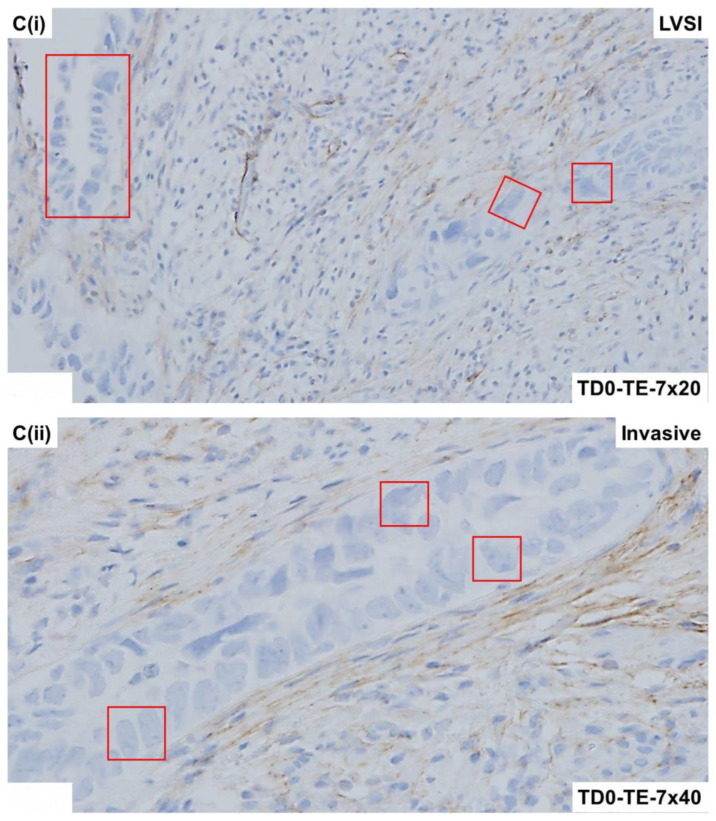 Figure 19