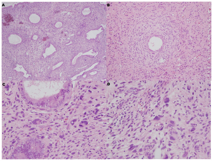 Figure 2