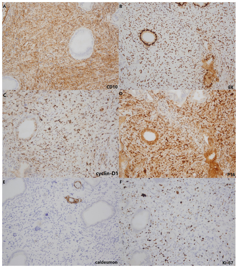 Figure 3