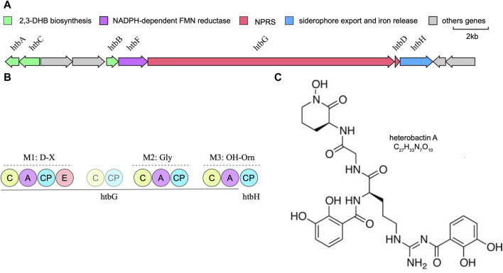 FIGURE 3