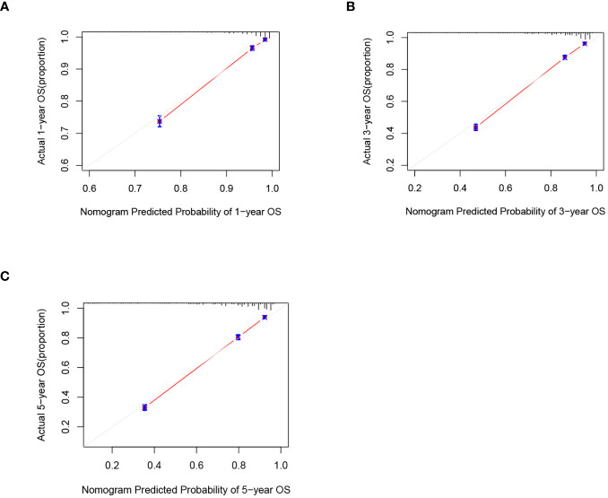 Figure 5