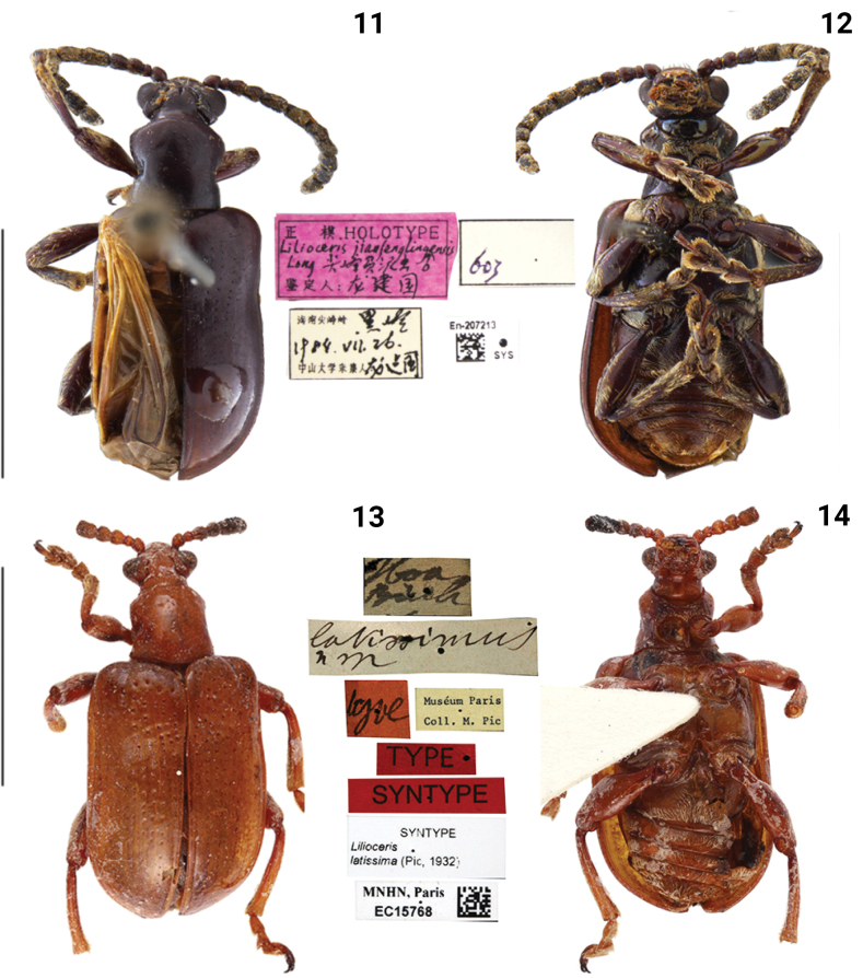 Figure 4