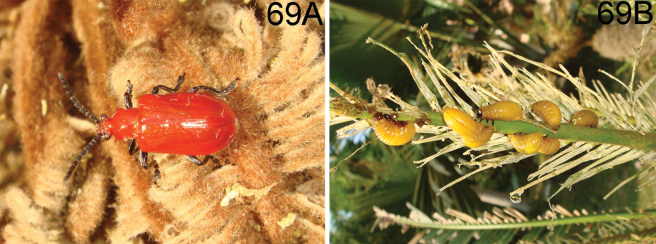 Figure 16
