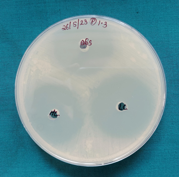Figure 5