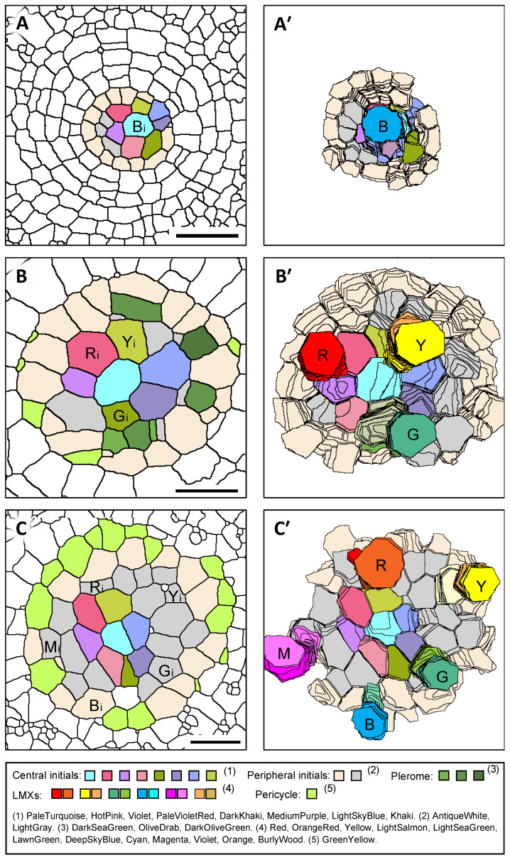 Figure 9