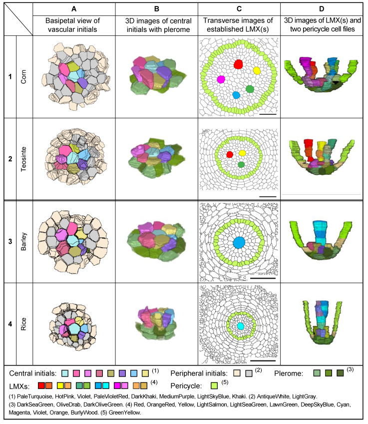 Figure 10