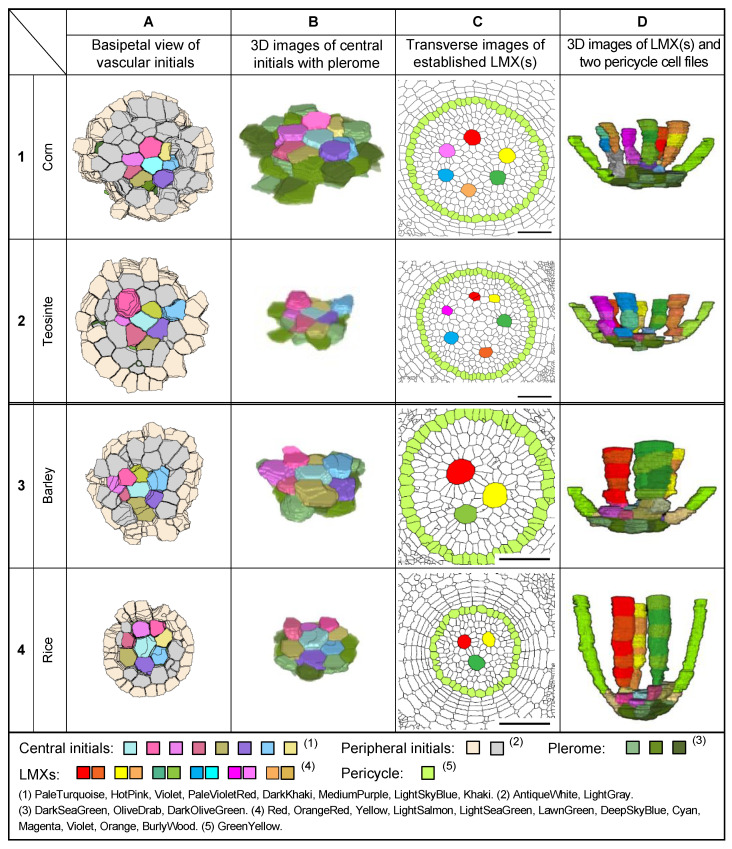 Figure 11