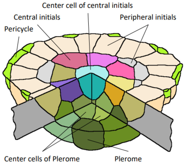 Figure 18