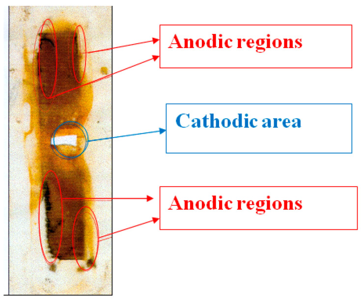Figure 11