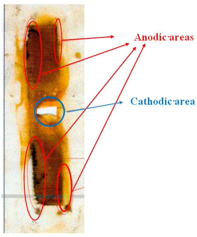 Figure 18