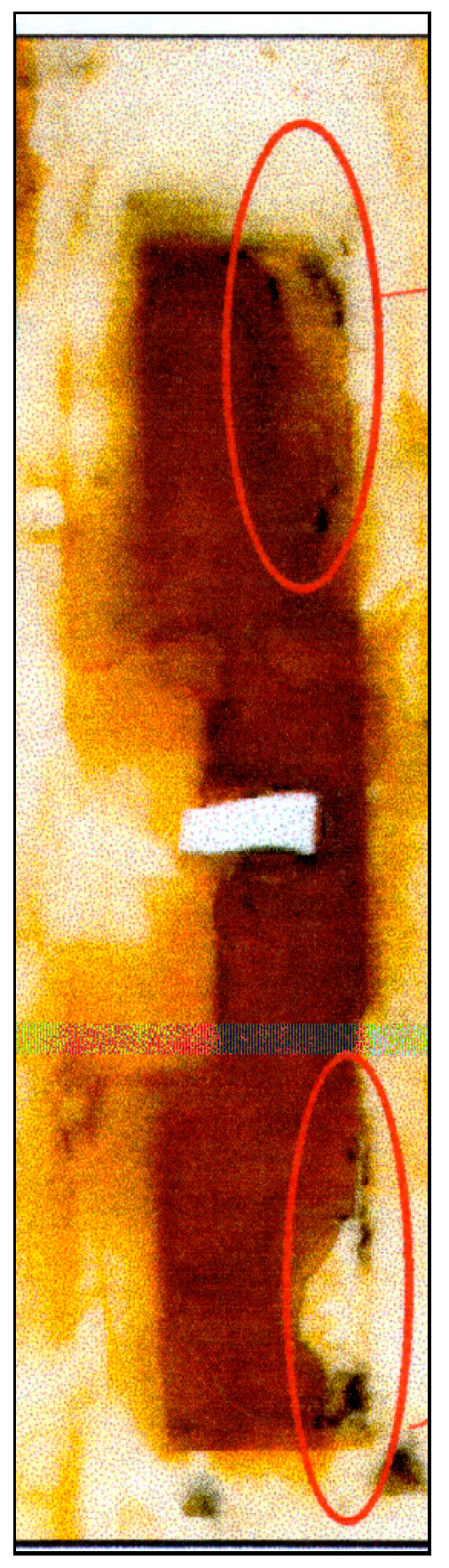 Figure 20