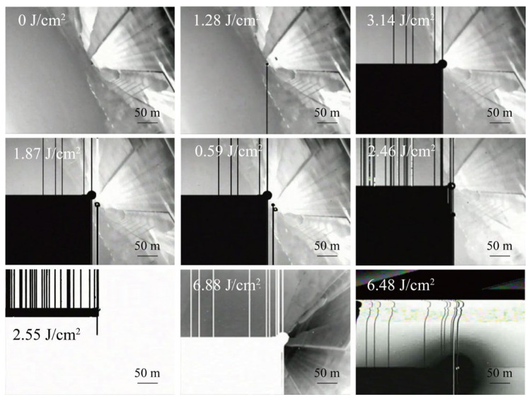 Figure 7