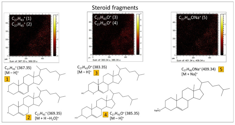 Figure 13