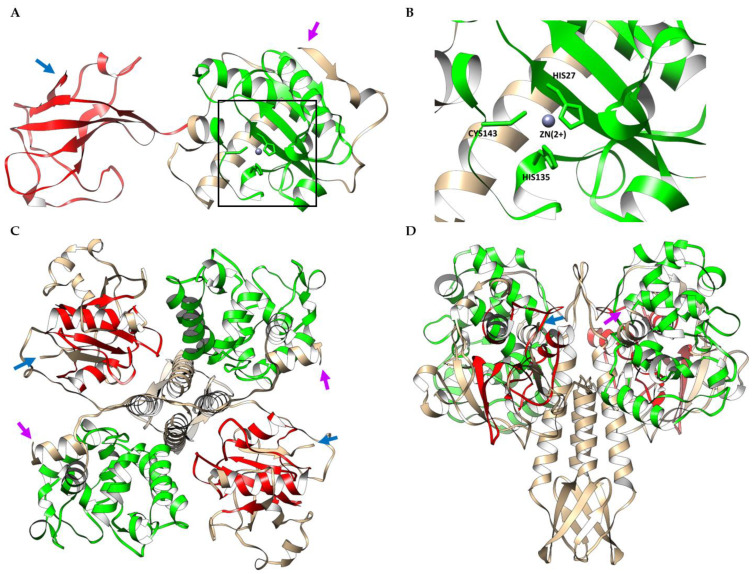 Figure 7