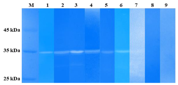 Figure 9