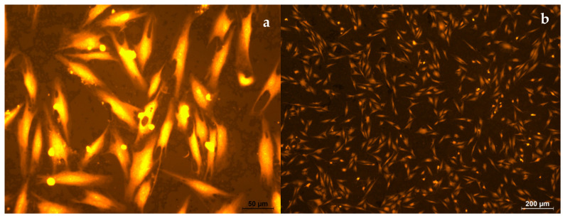Figure 19