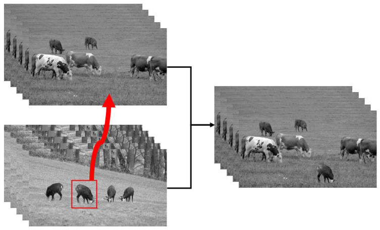 Figure 10