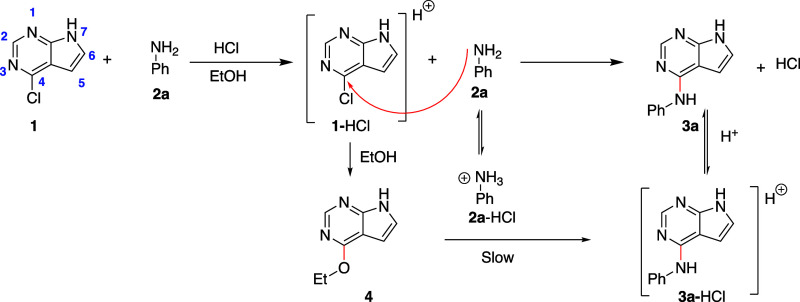 Scheme 1
