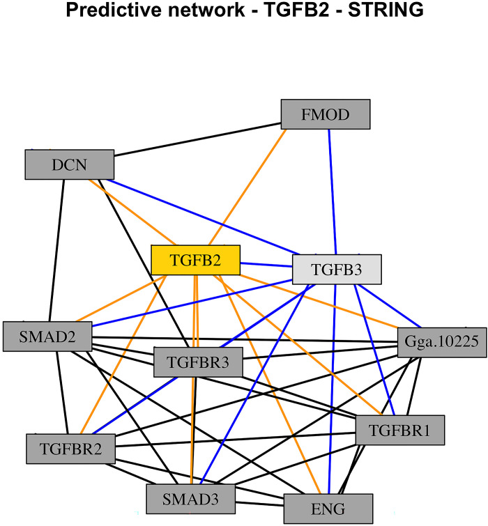Fig 5