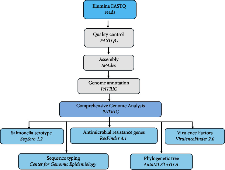 Figure 1