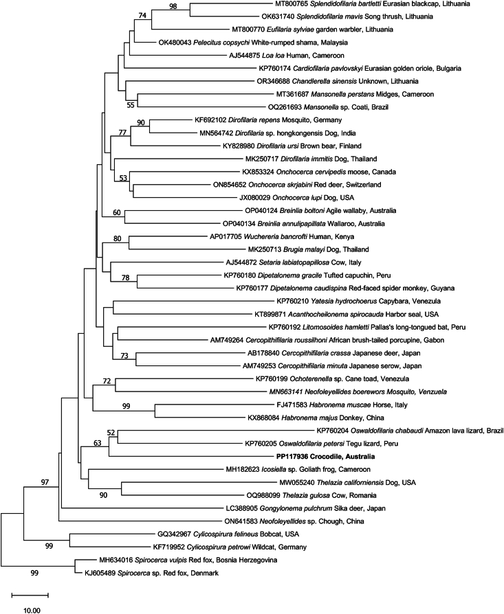 Figure 5
