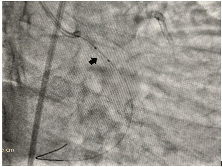 Figure 6