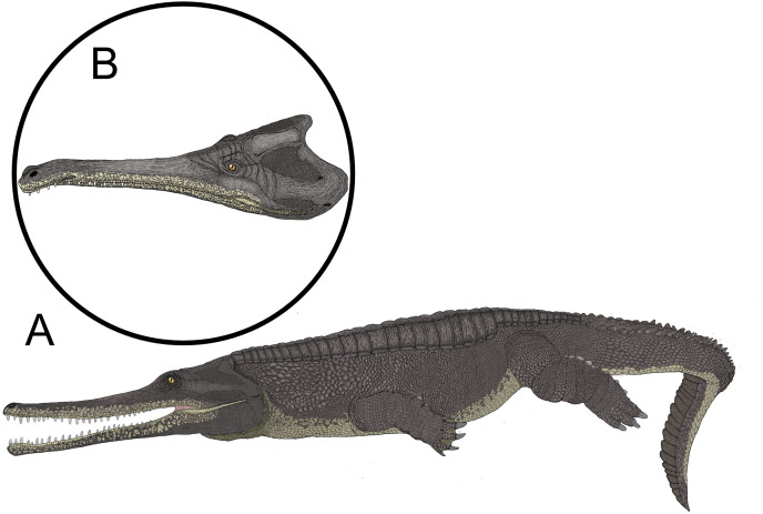 Figure 10
