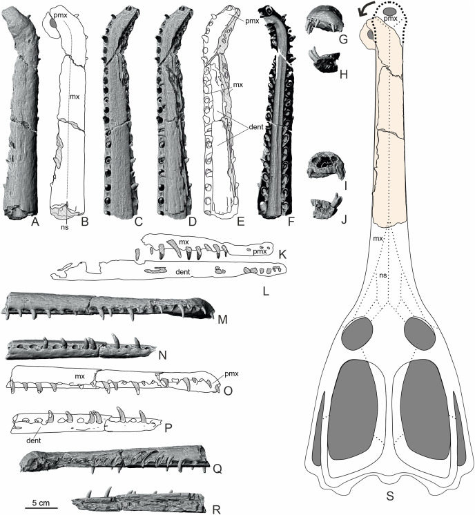 Figure 9