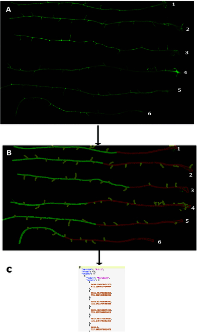 Fig. 2