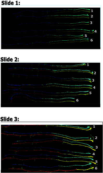 Fig. 5