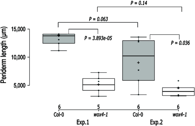 Fig. 8