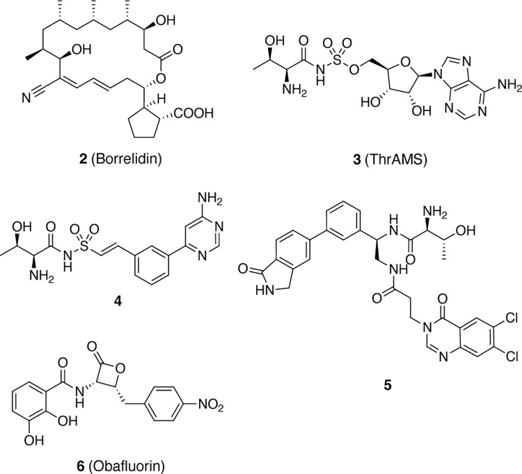 Fig 2