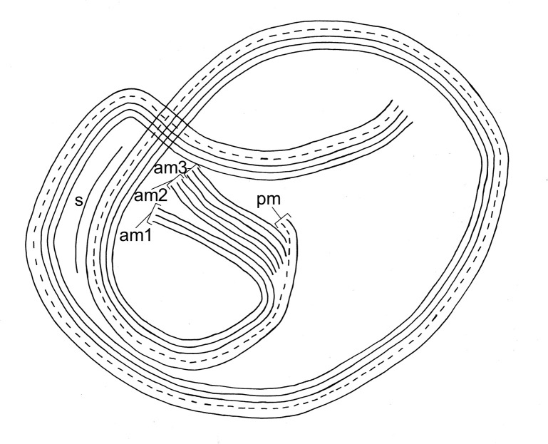 Fig 5