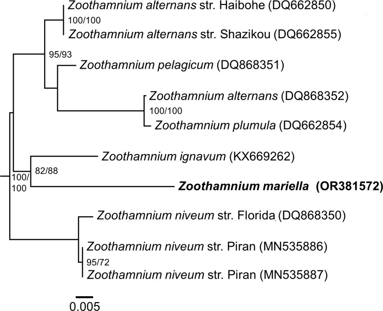 Fig 6