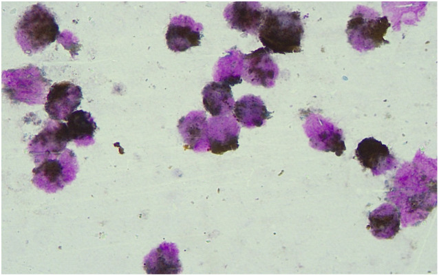Figure 2