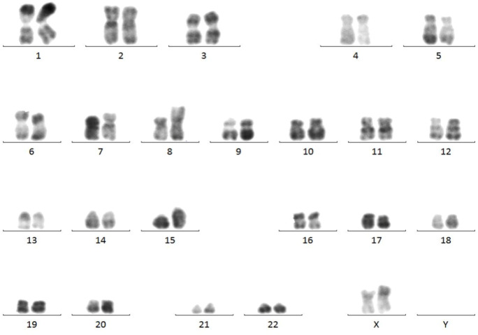 Figure 4