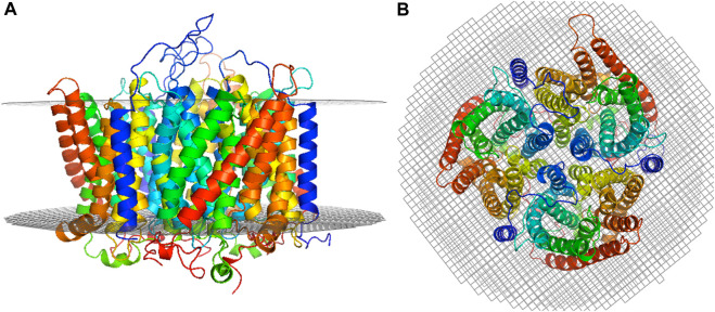 FIGURE 2