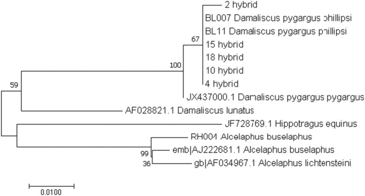 FIGURE 1