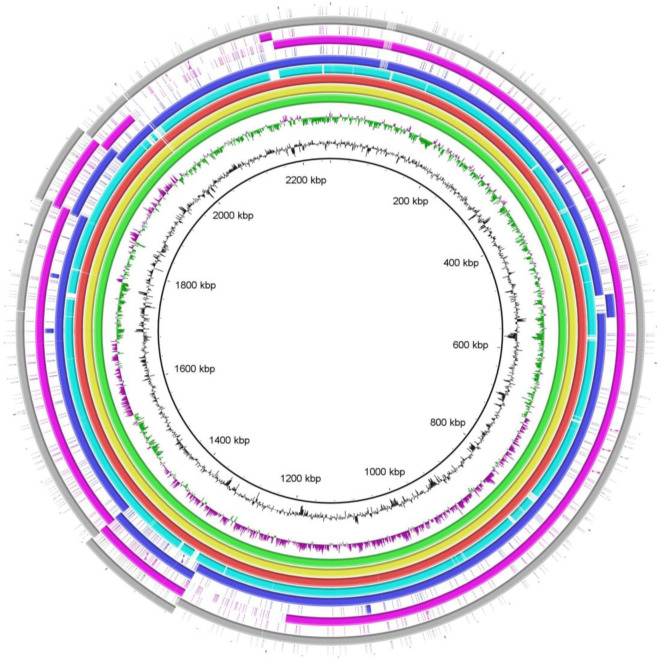 Fig 4