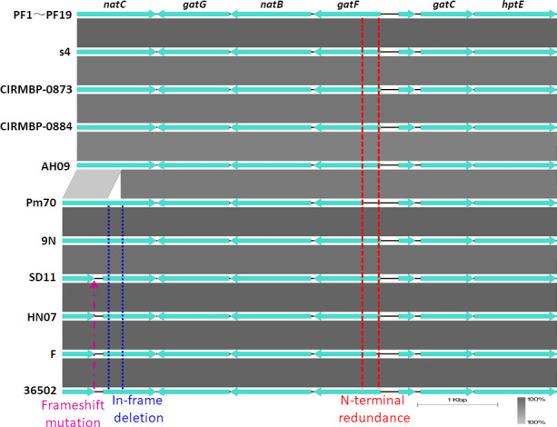 Fig 6